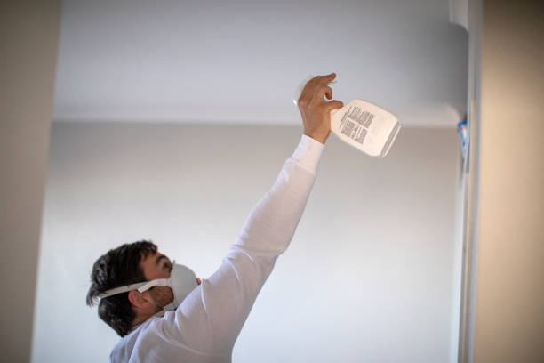 Professional Mold Removal in Tanaina, AK