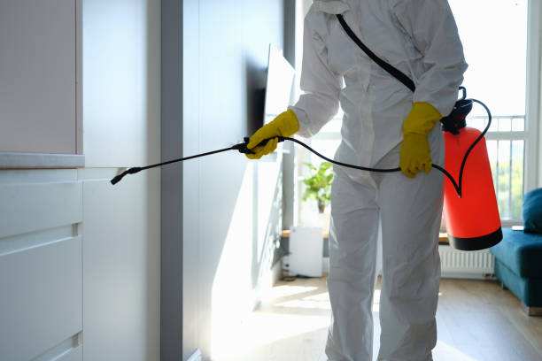 Best Mold Damage Repair  in Tanaina, AK