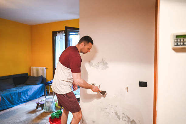 Best Mold Cleaning Services  in Tanaina, AK